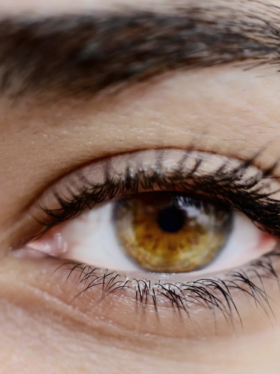 Pakiet brwi i rzęsy Glowbrow Rawa Mazowiecka